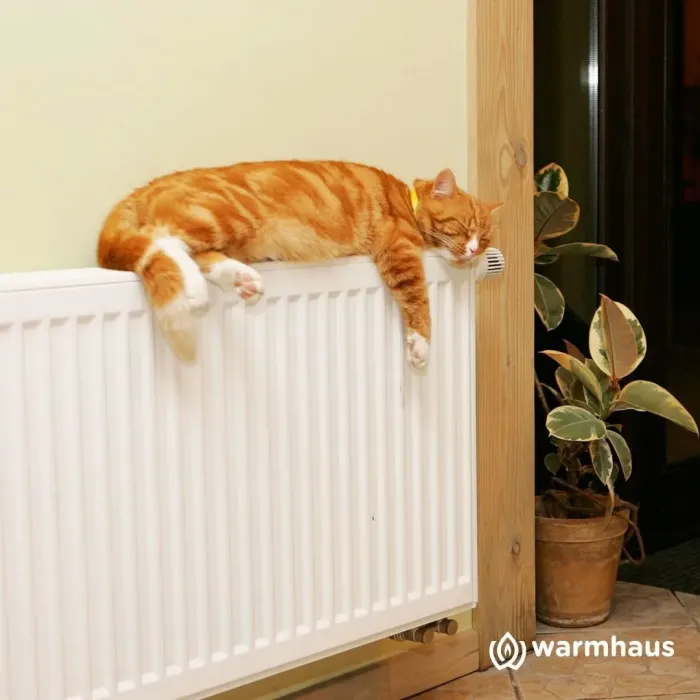 Радиатор Warmhaus стальной панельный 500х22х1200 низ